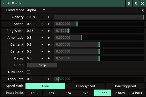 BLOOPER parameters